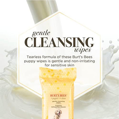 Burts Bees for Pets Gentle Cleansing Puppy Wipes, Buttermilk, 50 Count - Image 3