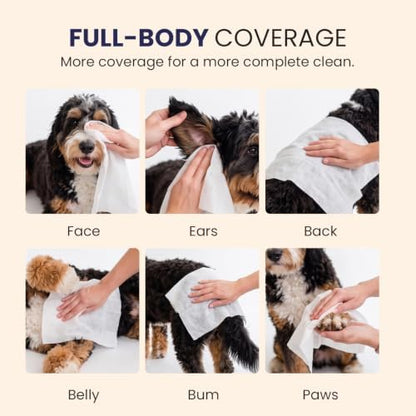 Hypoallergenic Pet Wipes for Dogs & Cats, 80 Count - Image 5