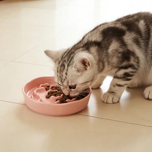 Small Slow Feeder Cat Bowls 4PCS Anti-Choking Puzzle Slow Feeding Dog Bowls with Non-Slip Base, Interactive Slow Feeder for Small Breeds, Bloat Prevention Maze Dish, 1 Cup Capacity - Image 6