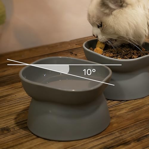 Cat Food Bowl,Cat Bowls for Indoor Cats,1 Count Grey Double-Sided Available - Image 3
