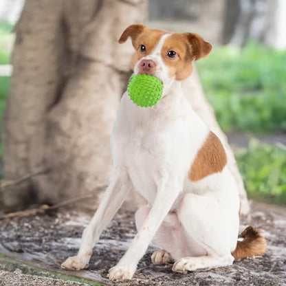 Best Pet Supplies Squeaky Dog Toys with Soft Durable Fabric for Small, Medium and Large Pets Interactive Toy for Indoor Play, Supports Active Biting and Play - Green, Large - Image 6