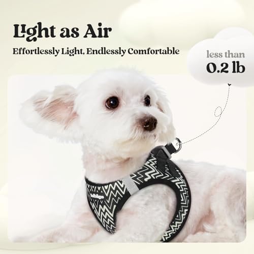 rabbitgoo Dog Harness Medium Sized and Leash Set, Step-in Puppy Pet Vest - Image 3