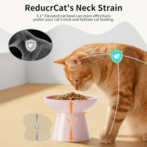 LoeJan Ceramic Cat Bowls, Elevated Cat Food and Water Bowls Set, Extra Wide and Raised Ceramic Bowls, Anti-Vomit Whisker-Free Pressure Cat Feeder for Kittens to Adult Cats - Image 4
