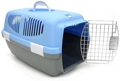 212 Main Small Plastic Carrier in Blue
