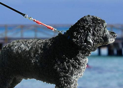 BUNGEE DOG LEASH EXTENSION – Patented Shock Absorber Attachment Protects You and Your Dogs – Works with ANY Leash & Collar or Harness – a MUST for Retractable Leashes – PICK SIZE/COLOR BELOW - Image 5