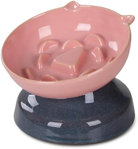 Ceramic Slow Feeder Cat Bowl, 15-Degree Tilted Non-Slip by KittyDine