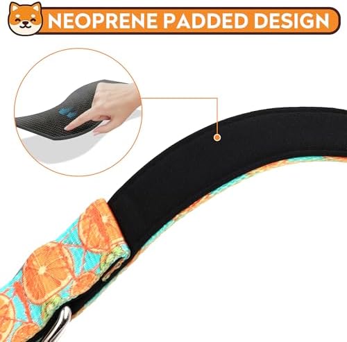 Reflective Dog Collar, Adjustable Neoprene Padded,Summer Lemon,L - Image 4