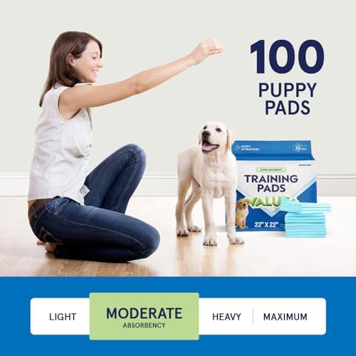 Puppy Pads Pet Pee Pads for Dogs & Puppy Training [100-COUNT] Potty Pads for Dogs 22" x 22" Leak-Proof Dog Pee Pads - Quick-Dry Surface - Heavy Duty Absorbent Disposable Dog Wee Pad Bulk Pack - Image 4
