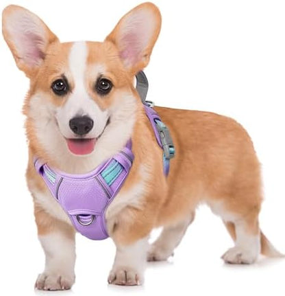 BARKBAY Dog Harness for Medium Sized Dog No Pull Dog Vest ID Tag Pocket by BARKBAY