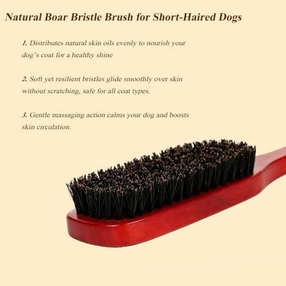 Boar Bristle Dog Brush for Short Haired Dogs, Natural Wooden Grooming Tool, Reduce Shedding, Detangle & Massage Sensitive Skin, Grooming to Calm Dogs & Build Pet Owner Bonding (Red sandalwood) - Image 4