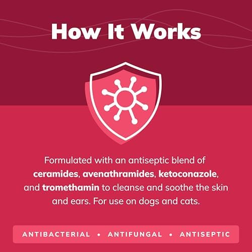 CeraSoothe® KET Antiseptic Flush for Dogs & Cats – Antifungal & Antibacterial Ear and Skin Cleanser, 16 oz - Image 4