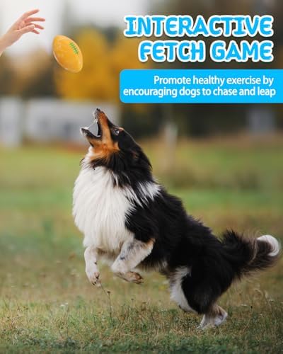 SCHITEC Dog Squeaky Ball Toys, Interactive Pet Balls for Fetch Play, Latex Rubber Football Toy for Medium Large Breed Dogs - Image 6