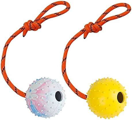 2 Pack Dog Ball, K9 Ball on Rope for Reward, Fetch, Play (6cm) by Nevperish