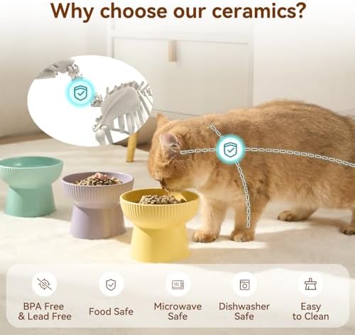 Ceramic Elevated Cat Bowls-Water Bowl, 15° Tilted Design, Anti-Vomiting & Spine Protection, Prevent Whisker Fatigue for Kittens to Adult Cats and Small Dogs (Green-Elevated Cat Bowls-2) - Image 4