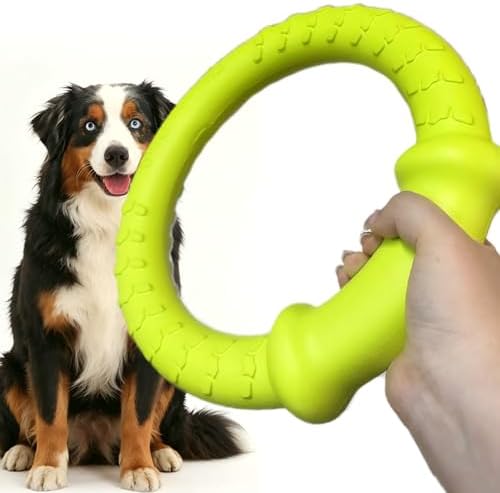 LaRoo Dog Ring Toy, Durable Soft Flying Disc, Thickened, Floatable Pool Toy for Medium Large Dogs, Interactive Tug of War & Fetch Toy for Outdoor Training, Teeth Cleaning & Exercise (Green-11.8inch) by LaRoo