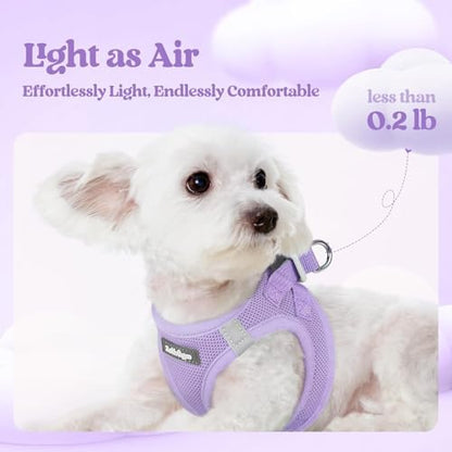 rabbitgoo Dog Harness Small Sized and Leash Set, Step-in Puppy Pet Vest - Image 3
