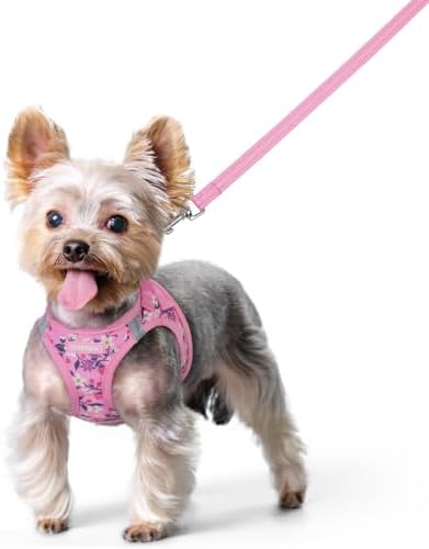 rabbitgoo Dog Harness Small Sized and Leash Set, Step-in Puppy Pet Vest by rabbitgoo