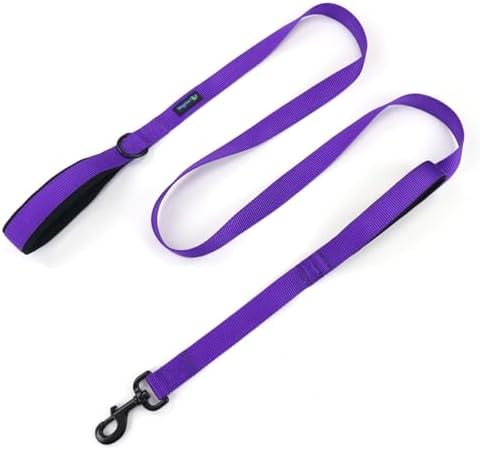 Wagtime Club Heavy Duty Double Handle Dog Leash for Large Medium Small Dogs by Waggin+Tails