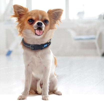 Reflective Padded Floating Leash and Collar Set Bundle Combo, Adjustable Comfortable Durable Collars for Small Medium Large Dogs (3/4" Collar w/Leash)
