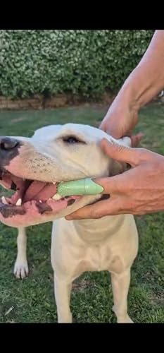 Happy Smile Dog Toothbrush 360° – Soft Silicone Finger Toothbrush for Dogs & Cats, Gentle Teeth Cleaning, BPA-Free, 2-Pack (Blue & Green) - Image 2