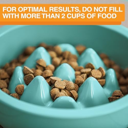 The Niner Slow Feed Bowl - Raised Peaks Slow Down Pets Eating - Fits Elevated Feeders Including Neater Feeder Large Sizes - Gentle on Teeth and Gums - Holds up to 2 Cups (Aquamarine) - Image 6