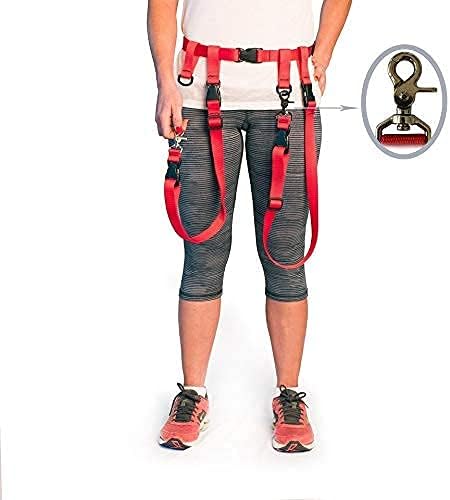 The Buddy System Accessories for Our Dog Leashes Made in USA (Extra Buddy, Regular Dog Red)