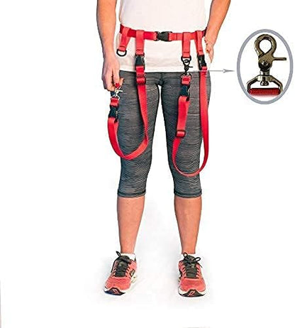 The Buddy System Accessories for Our Dog Leashes Made in USA (Extra Buddy, Regular Dog Red)