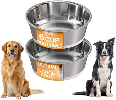 Neater Pet Brands Stainless Steel Dog Bowls with Non-Slip Rubber Bottom – Set of 2, 6 Cup (48 oz), Pink - Heavy Duty Metal Dog Bowl, Dishwasher Safe, Food or Water Bowl, Ideal for Large Dogs by NeaterPetBrands
