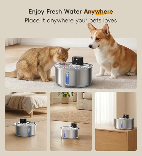 Stainless Steel Cat Water Fountain, 186fl.oz/1.45Gal Cordless Dog Fountain - Image 2