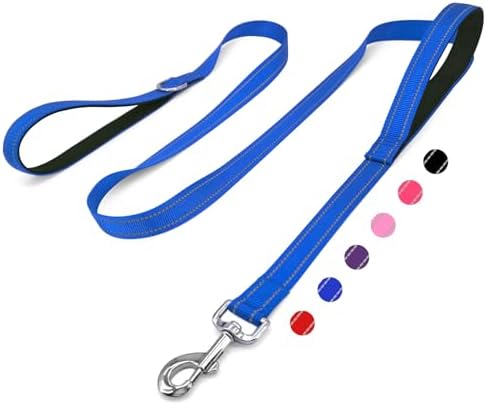6 FT Blue Nylon Reflective Dog Leash for Large Dogs with 2 Padded Handle by Unknown