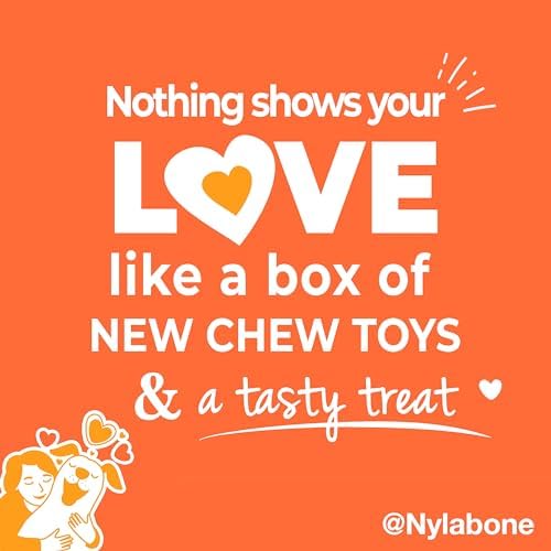 Nylabone Dog Gift Box, Strong Chew Toys & Treat, Large, 4 Count - Image 5