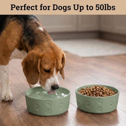 Ceramic Dog Bowl Set of 2 w/ Anti-Skid Base 6.5"W x 2.5"H, 3.8 Cup Capacity - Image 3