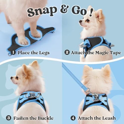 rabbitgoo Dog Harness Small Sized and Leash Set, Step in Soft Vest - Image 2