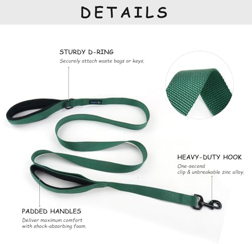 Wagtime Club Heavy Duty Double Handle Dog Leash for Large Medium Small Dogs - Image 2