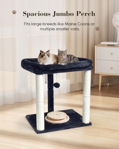 Small Cat Tree with Large Top Perch & Cat Ball Track Toy, Indoor Cat Tower - Image 4