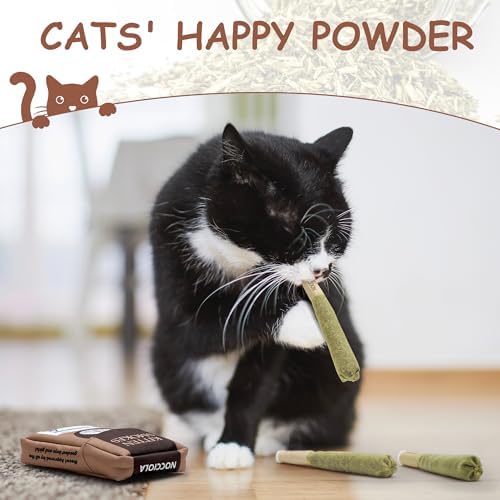 Nocciola 3 Pack Catnip Toys for Cats, Funny Cat Toys Filled with 100% Pure Organic Catnip, Safe Kitten Teething Chew and Kicker Toys, Stress Relieving Fun for Indoor Cats, Brown - Image 3