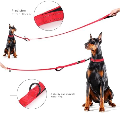 Plutus Pet Double Handle Dog Leash, 6 FT Long, for Medium Large Dogs - Image 6