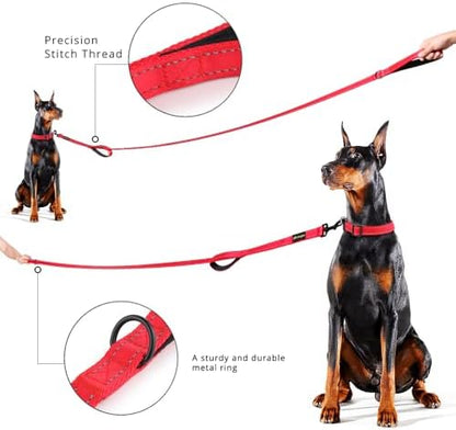 Plutus Pet Double Handle Dog Leash, 6 FT Long, for Medium Large Dogs - Image 6