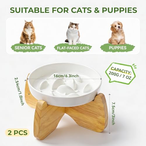 Raised Ceramic Cat Bowls 6.3" Flat & Slow Feeder Bowl (One of Each) - Image 2