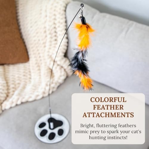 Interactive Cat Toys for Indoor Cats - Glow in Dark Octopus - XL Snake And Lizard Chew Toy - Round Base Teaser Wand - Bored Adult Feline Hunting Enrichment - Self Play Kitten Juguetes para Gatos - Image 6
