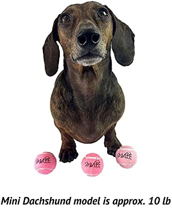 Midlee Mini 1.5" Squeaky Dog Tennis Balls- Pink- Set of 6 - Image 6