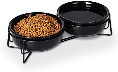 GDCZ Elevated 15 Oz Ceramic Double Cat Bowls with 11.6x2.5 Inch Stand (Black) by GDCZ