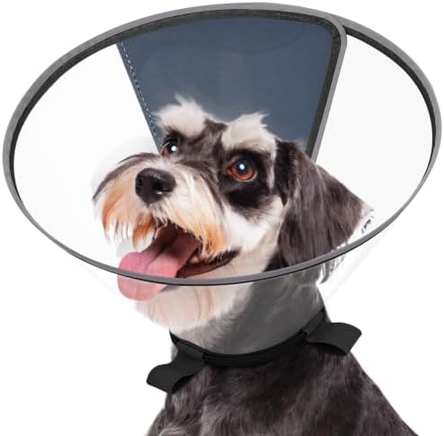 Clear Dog Cone for Small Dogs Mini Schnauzer, ECollar After Surgery by Didopet