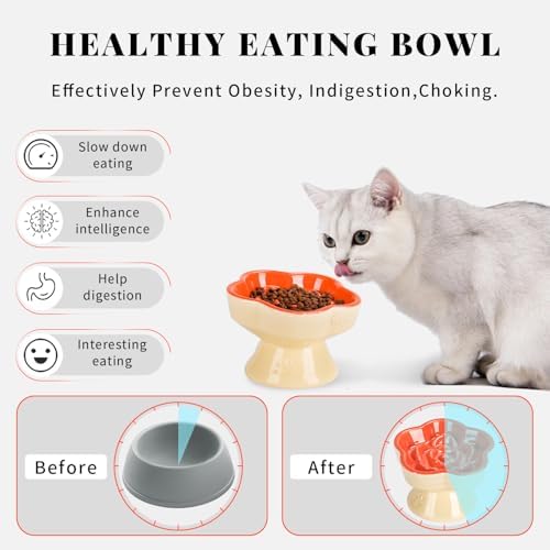 S&Q's CERAMICS Raised Slow Feeder Cat Bowl, Ceramic Glass Elevated Pet Food Bowl Small Dogs Slow Feeder, Flower Shaped Cute Dish for Dry and Wet Food (Orange, 5.8") - Image 3