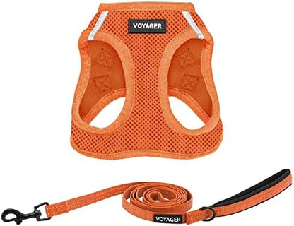 Best Pet Supplies Voyager Step-in Air All Weather Mesh Harness and Reflective Dog 5ft Leash Combo with Neoprene Handle, for Small, Medium and Large Breed Puppies - Orange, X-Small by BestPetSuppliesLLC