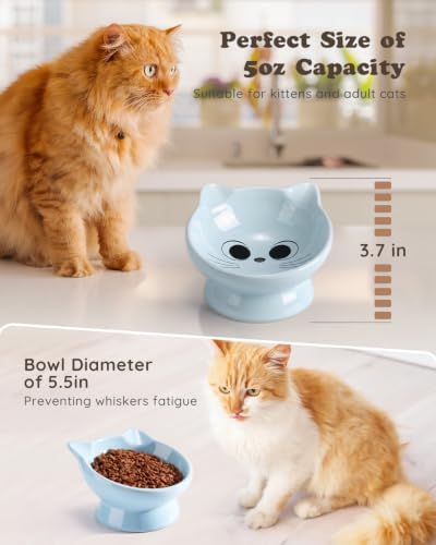 Raised Cat Food Bowl Ceramic 15° Tilted Cat Food Bowls Protect Cat's Spine Anti Vomiting Backflow Prevention Bowls for Adult Kitty, Kitten, and Small Dogs, Blue - Image 5