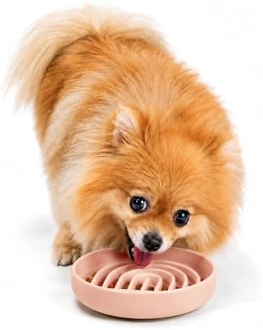 Slow Feeder Dog Bowl - Silicone Dog Bowl, Small, 6" x 1.25" - Blush by ShouldWeGo