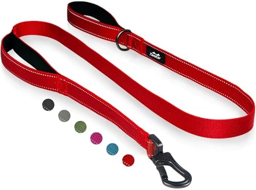 Twoear 6FT 1IN Heavy Duty Dog Leash for Large Dogs with 2 Padded Handles by TwoEar