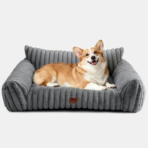 Cat Couch for Pets, Cute Cat Bed for Indoor Cats by WARMREST