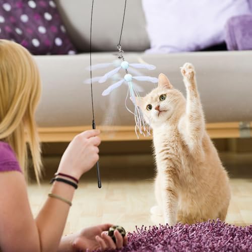 PAZ'S GIFT Cat Wand Toys, Rotating Feather 2 piece Catnip wzggle Sounding Toy, Soft and Durable, Interactive cat Kick Toys for Indoor Play - Image 4